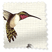 Colibrì Naturae Tende a rullo Immagine campione