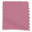 Avalon Peonia Rosa Tende a rullo Immagine campione