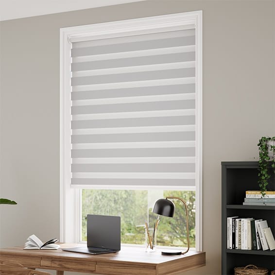 Zebra - Tende a rullo in tessuto zebra a doppio strato, colore: grigio, 94 cm x 165 cm, colore: opaco e traslucido