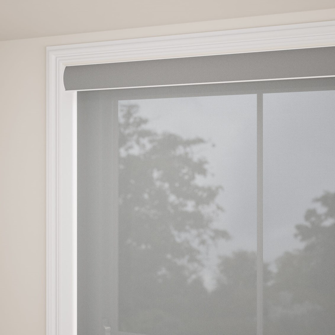 Tenda a rullo Oracle Nebbia