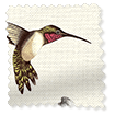 Gira Facile Colibrì Naturae Tende a rullo Immagine campione