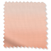 Gira Facile Ombre Blush Tende a rullo Immagine campione